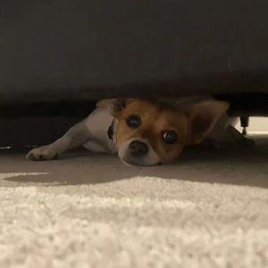 老男人舔逼颜面
