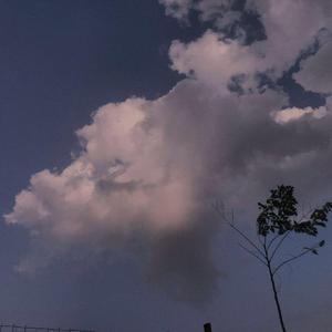 老男人舔逼颜面
