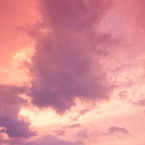 老男人舔逼颜面
